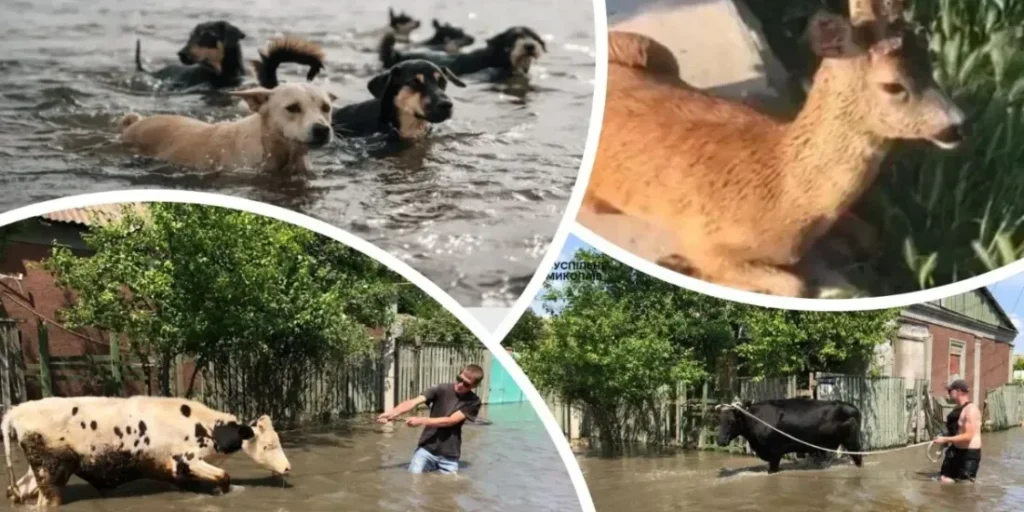 Explosion in the occupied territory