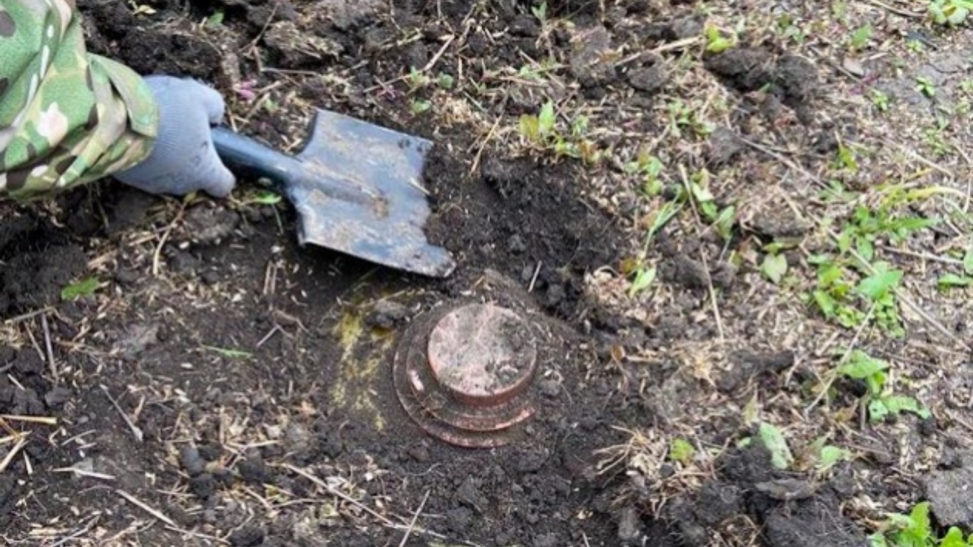 Компенсації за розмінування агроземель: що актуально восени