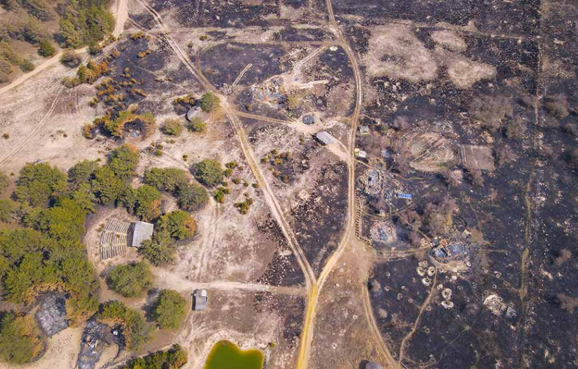 Як жителі Олешок адаптуються до зимових умов в окупації